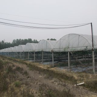 精品校長服（四）